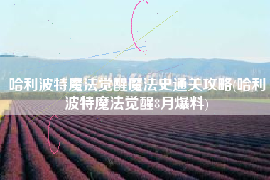 哈利波特魔法觉醒魔法史通关攻略(哈利波特魔法觉醒8月爆料)