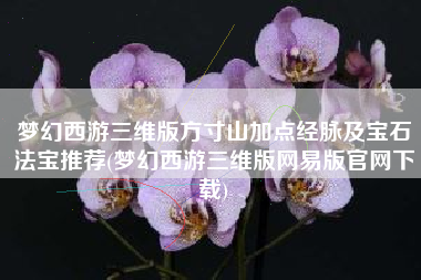 梦幻西游三维版方寸山加点经脉及宝石法宝推荐(梦幻西游三维版网易版官网下载)
