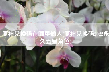 原神兑换码在哪里输入(原神兑换码2022永久五星角色)