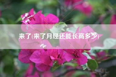 来了(来了月经还能长高多少)
