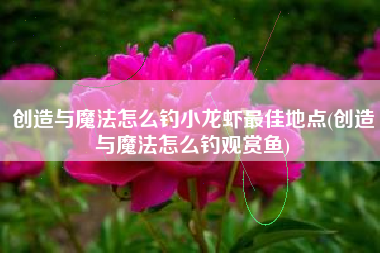 创造与魔法怎么钓小龙虾最佳地点(创造与魔法怎么钓观赏鱼)