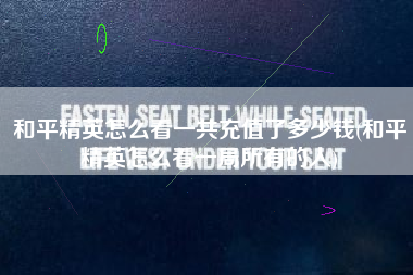 和平精英怎么看一共充值了多少钱(和平精英怎么看一局所有的人)