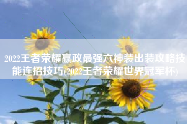 2022王者荣耀嬴政最强六神装出装攻略技能连招技巧(2022王者荣耀世界冠军杯)