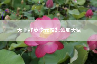 天下群英李元霸怎么加天赋