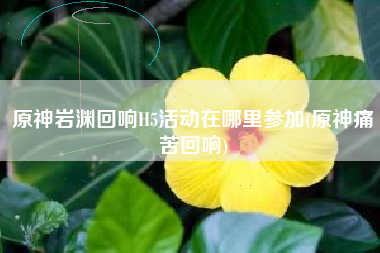 原神岩渊回响H5活动在哪里参加(原神痛苦回响)