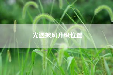光遇披风升级位置