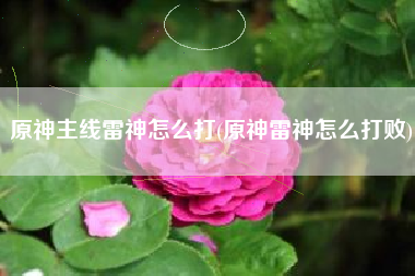 原神主线雷神怎么打(原神雷神怎么打败) 原神主线雷神怎么打(原神雷神怎么打败)