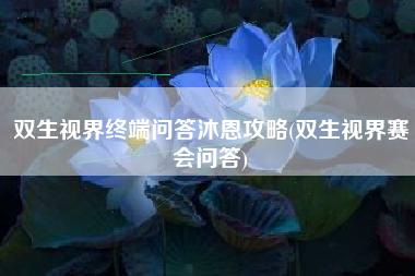 双生视界终端问答沐恩攻略(双生视界赛会问答)