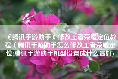 《腾讯手游助手》修改王者荣耀定位教程（腾讯手游助手怎么修改王者荣耀定位(腾讯手游助手机型设置成什么最好)