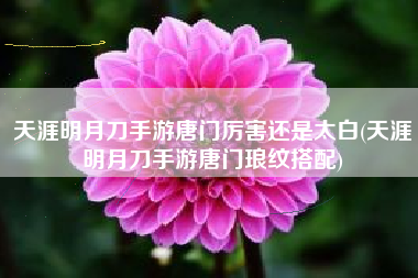 天涯明月刀手游唐门厉害还是太白(天涯明月刀手游唐门琅纹搭配)