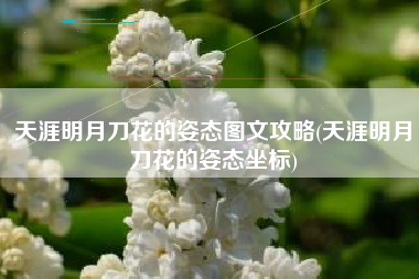 天涯明月刀花的姿态图文攻略(天涯明月刀花的姿态坐标)