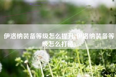 伊洛纳装备等级怎么提升(伊洛纳装备等级怎么打造)