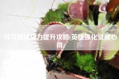 可可魔城战力提升攻略(英雄强化觉醒心得)
