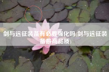 剑与远征装备有必要强化吗(剑与远征装备最高品质)