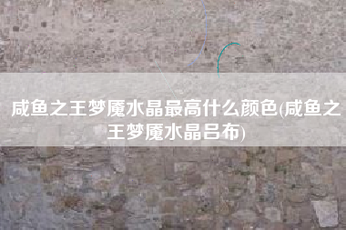 咸鱼之王梦魇水晶最高什么颜色(咸鱼之王梦魇水晶吕布)