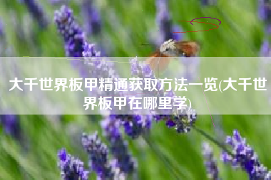 大千世界板甲精通获取方法一览(大千世界板甲在哪里学)