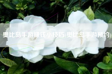 奥比岛手游赚钱小技巧(奥比岛手游预约)