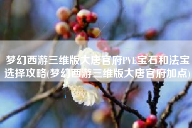 梦幻西游三维版大唐官府PVE宝石和法宝选择攻略(梦幻西游三维版大唐官府加点)