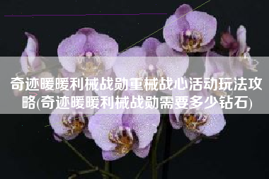 奇迹暖暖利械战勋重械战心活动玩法攻略(奇迹暖暖利械战勋需要多少钻石)
