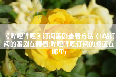 《哔哩哔哩》订阅番剧查看方法（b站订阅的番剧在哪看(哔哩哔哩订阅的频道在哪里)