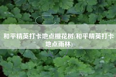 和平精英打卡地点樱花树(和平精英打卡地点雨林)
