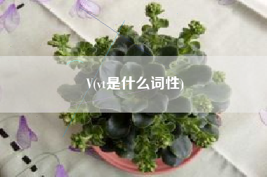 V(vt是什么词性) V(vt是什么词性)
