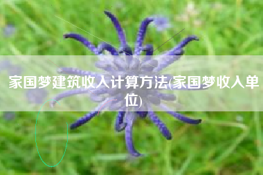 家国梦建筑收入计算方法(家国梦收入单位)
