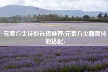元素方尖技能选择推荐(元素方尖罪赎技能搭配)