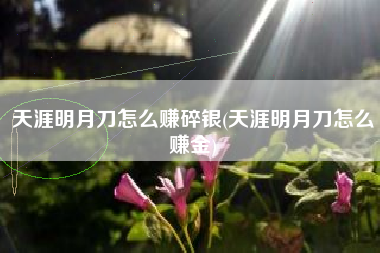 天涯明月刀怎么赚碎银(天涯明月刀怎么赚金)