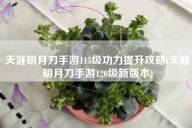 天涯明月刀手游115级功力提升攻略(天涯明月刀手游120级新版本)