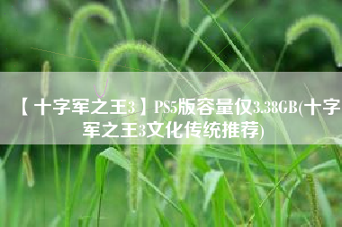 【十字军之王3】PS5版容量仅3.38GB(十字军之王3文化传统推荐)