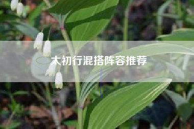 太初行混搭阵容推荐