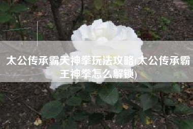 太公传承霸天神拳玩法攻略(太公传承霸王神拳怎么解锁)
