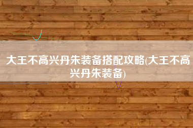 大王不高兴丹朱装备搭配攻略(大王不高兴丹朱装备)