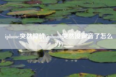 iphone突然降价(iphone突然没声音了怎么办)