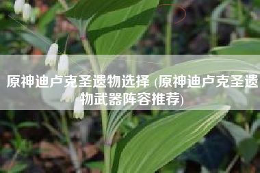 原神迪卢克圣遗物选择 (原神迪卢克圣遗物武器阵容推荐)