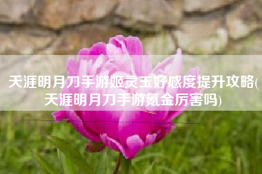 天涯明月刀手游姬灵玉好感度提升攻略(天涯明月刀手游氪金厉害吗)
