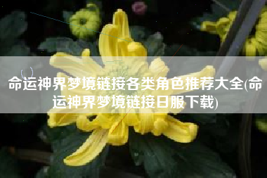 命运神界梦境链接各类角色推荐大全(命运神界梦境链接日服下载)
