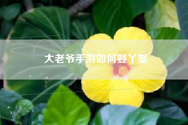 大老爷手游如何娶丫鬟