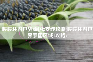 暖暖环游世界泰国2支线攻略(暖暖环游世界泰国区域1攻略)