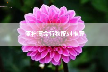 原神满命行秋配对推荐