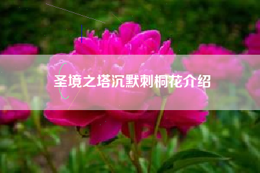 圣境之塔沉默刺桐花介绍