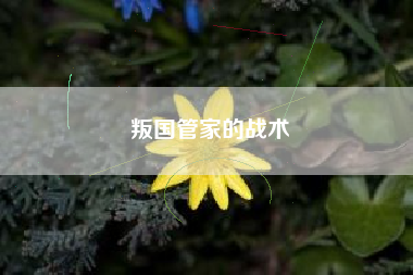 叛国管家的战术