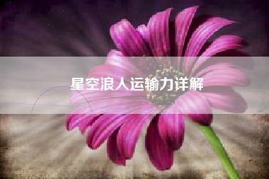 星空浪人运输力详解