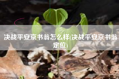 决战平安京书翁怎么样(决战平安京书翁定位)