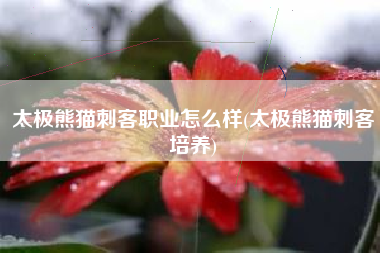 太极熊猫刺客职业怎么样(太极熊猫刺客培养) 太极熊猫刺客职业怎么样(太极熊猫刺客培养)