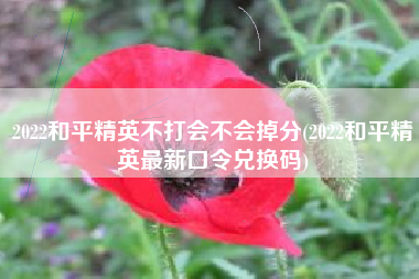 2022和平精英不打会不会掉分(2022和平精英最新口令兑换码)