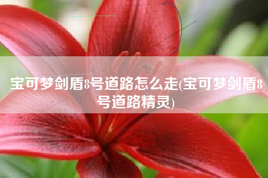 宝可梦剑盾8号道路怎么走(宝可梦剑盾8号道路精灵)
