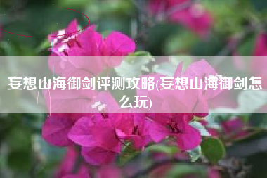 妄想山海御剑评测攻略(妄想山海御剑怎么玩)