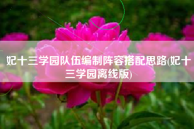 妃十三学园队伍编制阵容搭配思路(妃十三学园离线版)